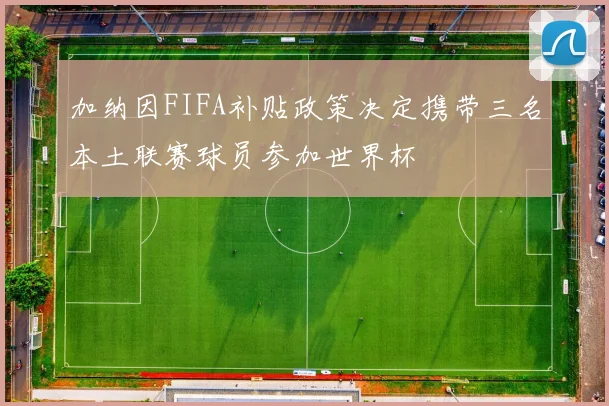 加纳因FIFA补贴政策决定携带三名本土联赛球员参加世界杯